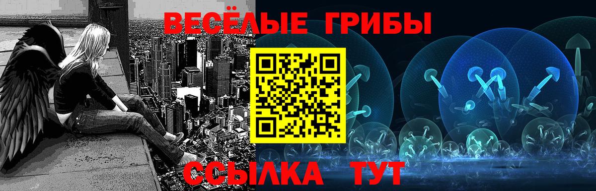Псилоцибиновые грибы Psilocybe Верхняя Пышма
